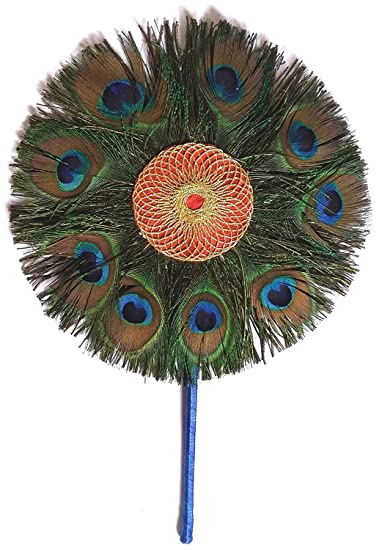 Peacock  Feather